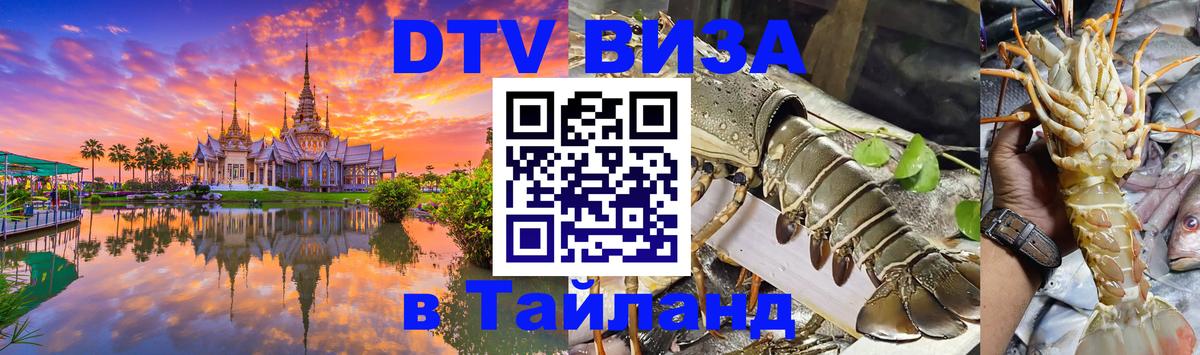Стоимость и условия DTV визы — оформление в Таиланд под ключ - Осло  20.11.2025 